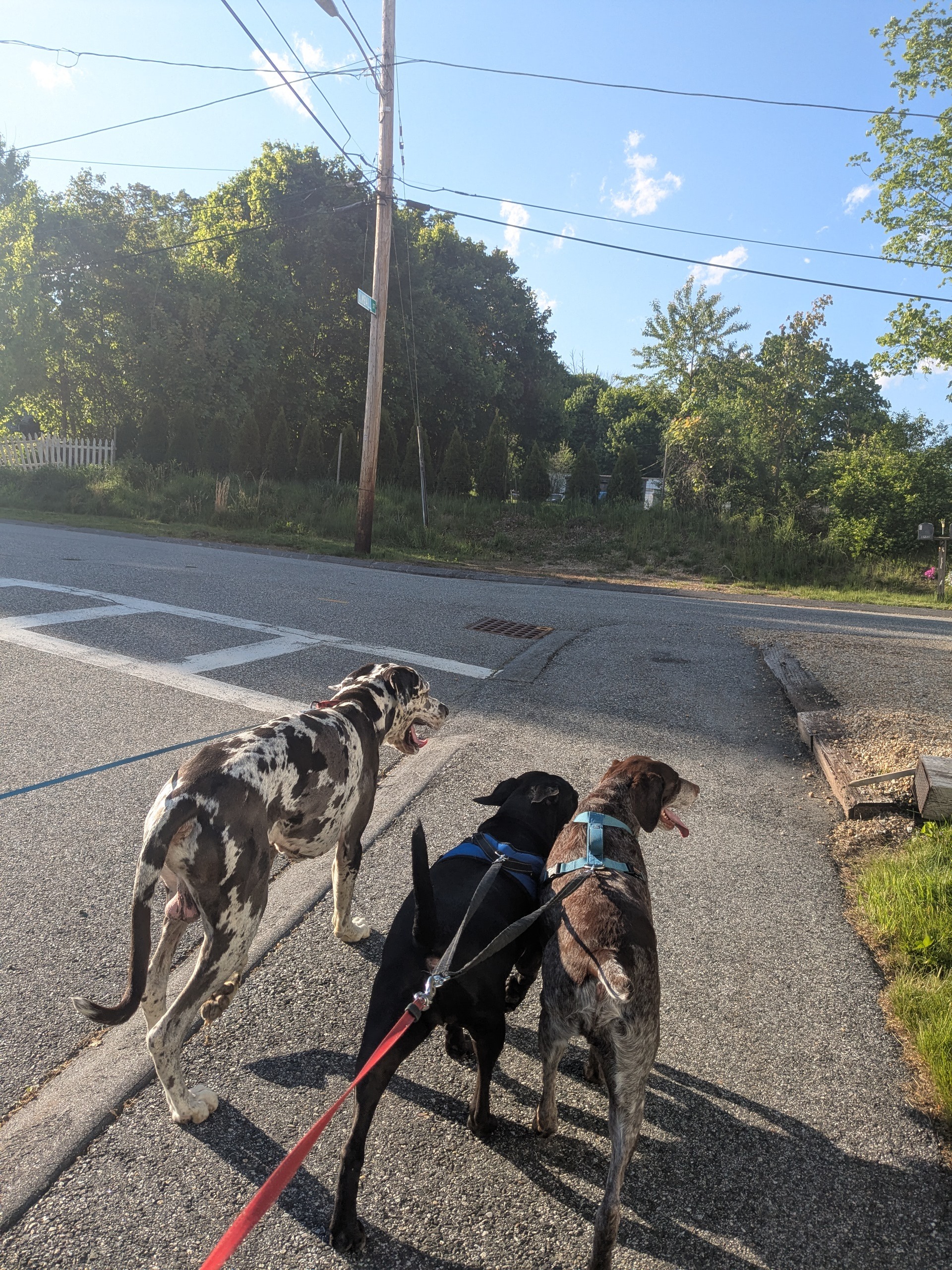 Triple Trouble In Double Time 🥰
