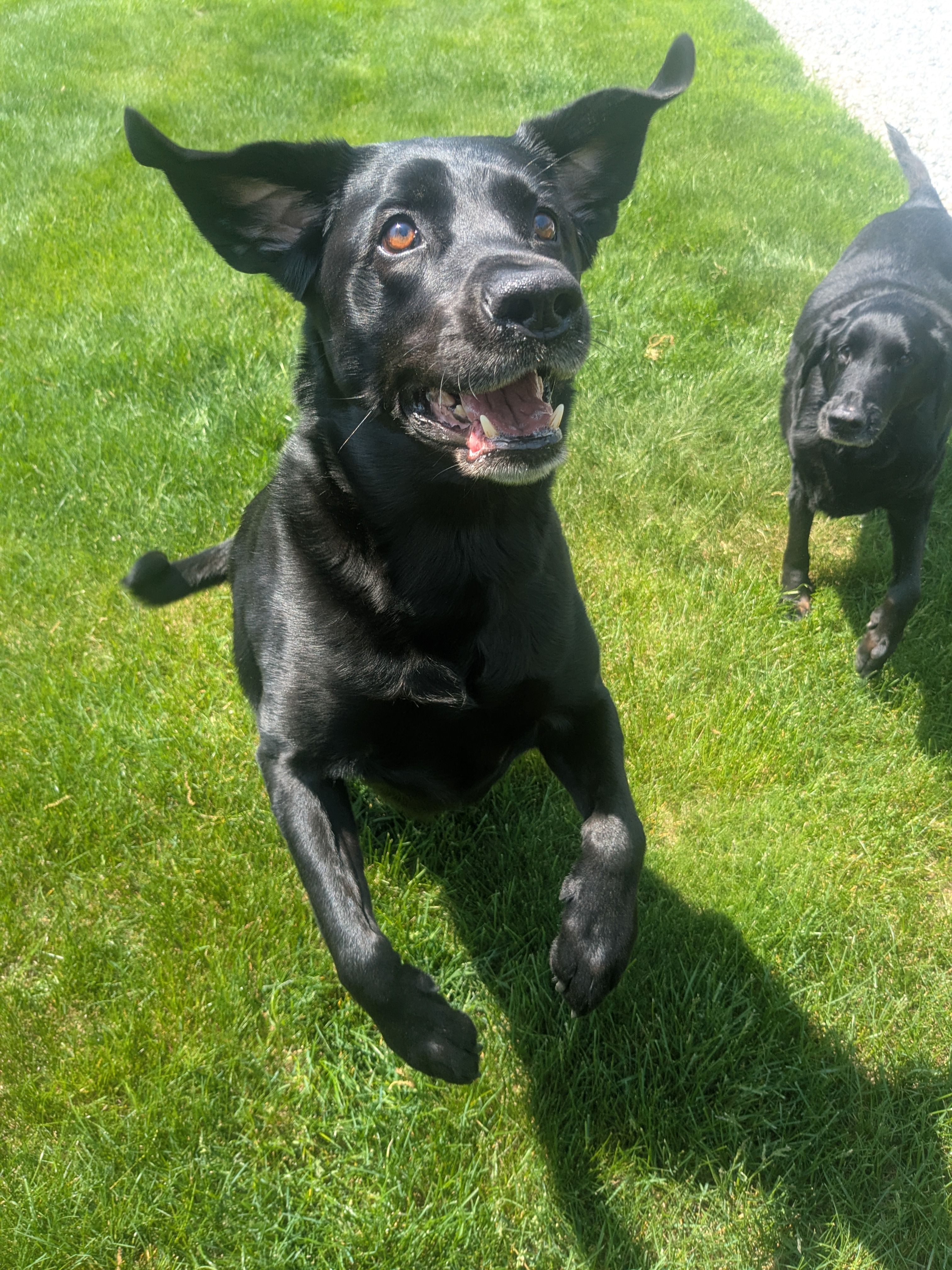 Monday’s Are Better With Duncan & Finn!