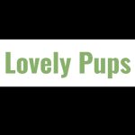 Doggie Daycare: Lovely Pups