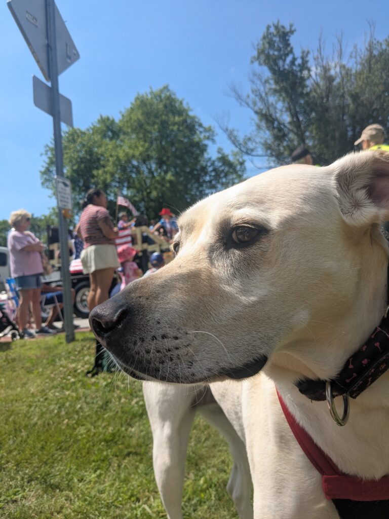 Casey Day Parade!