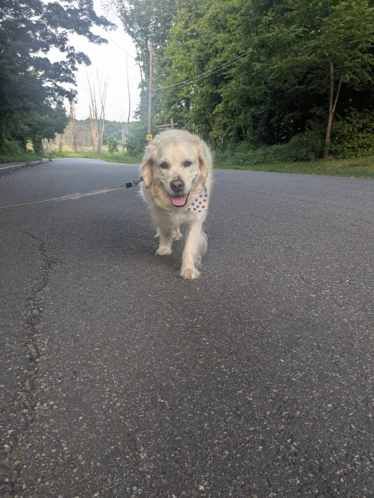 Bagel’s Vacation!
