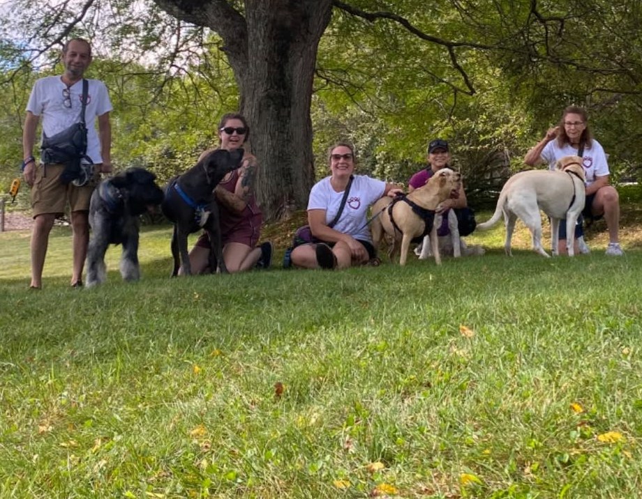 The Lindsay Loves Pets team with dogs on the grass under a big tree