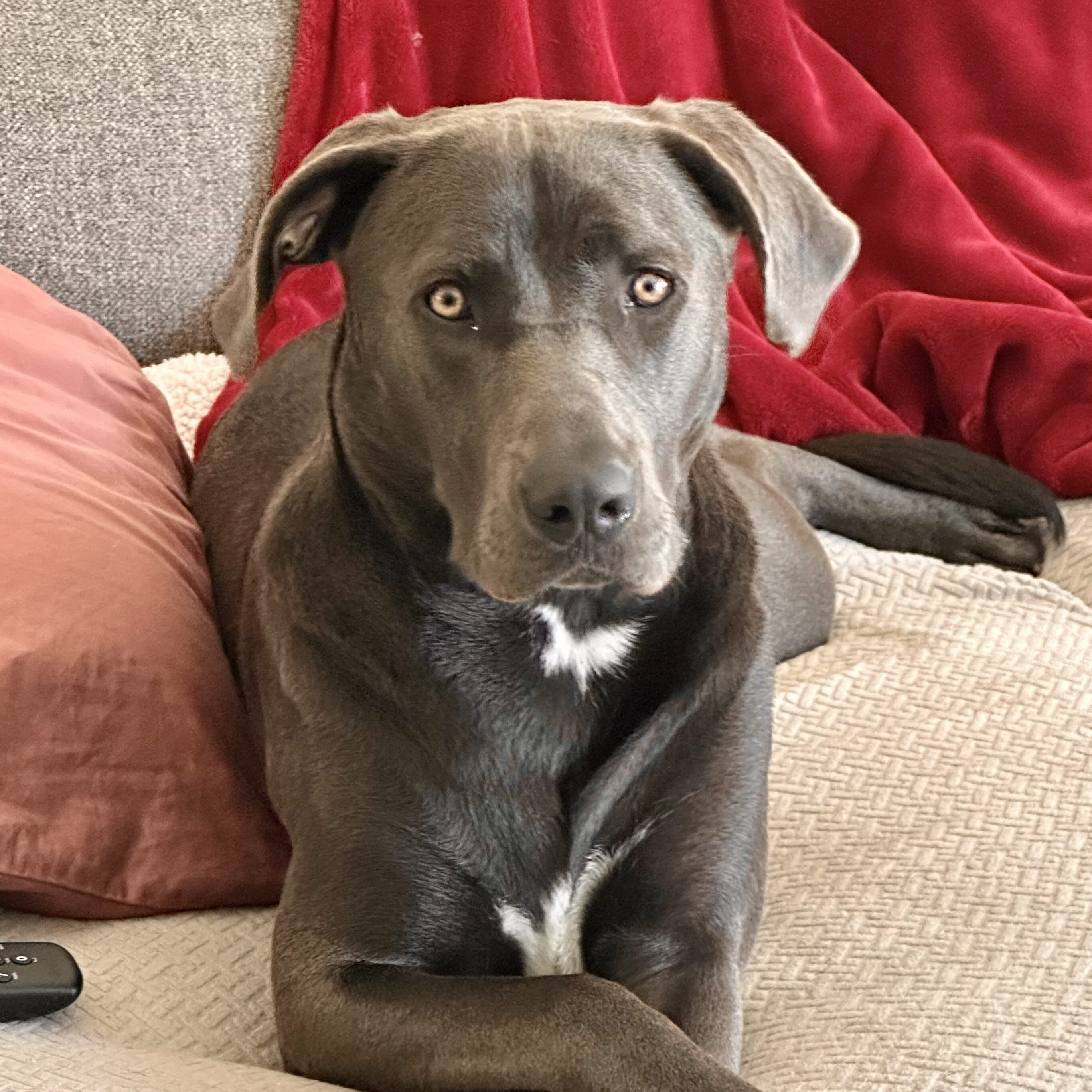 Oliver