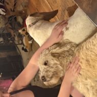 Picture of &nbsp;&nbsp;Franchy + Layla + Byron +  Friends