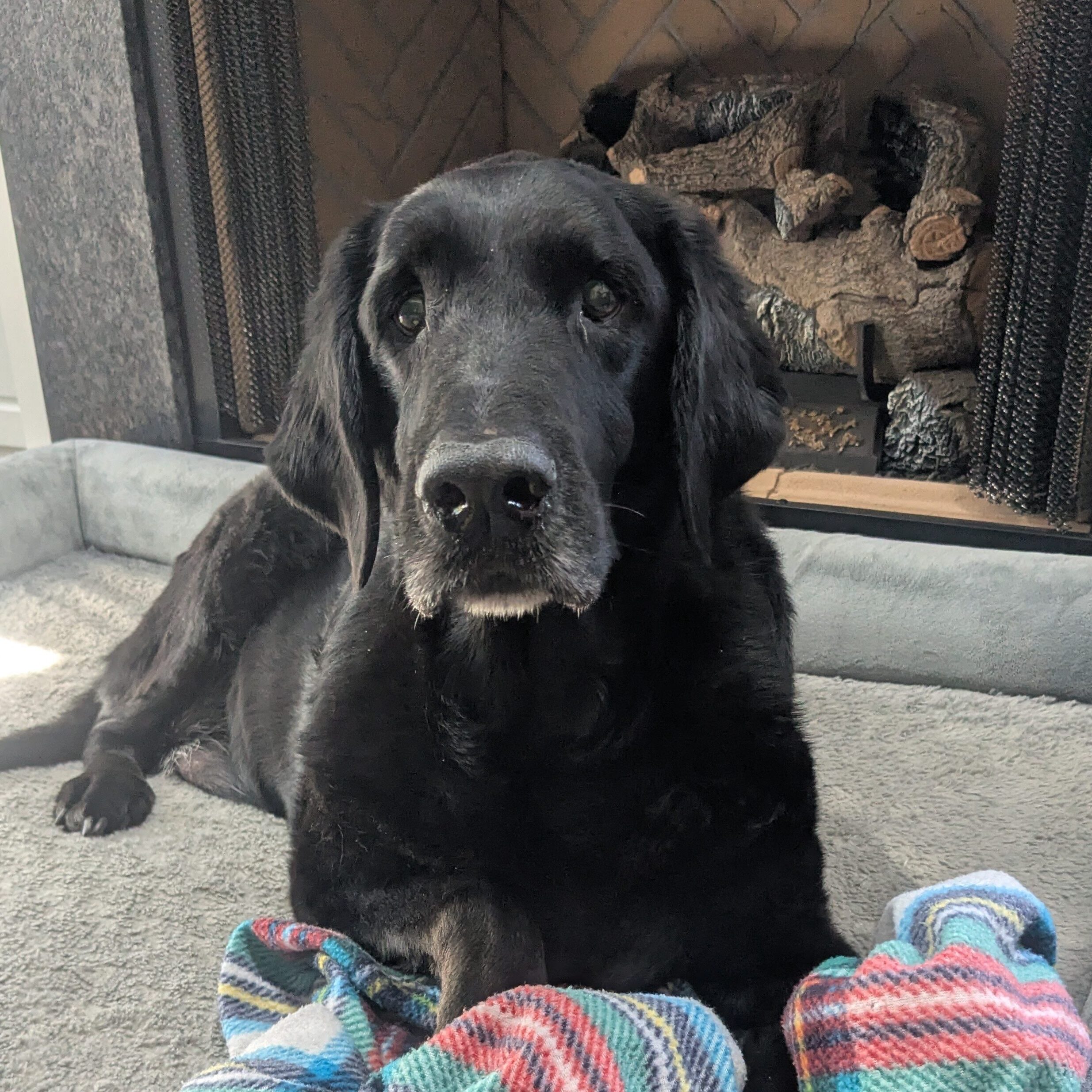 Duncan