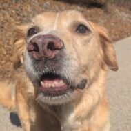 Picture of &nbsp;&nbsp;Evelyn