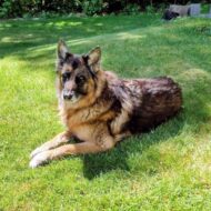 Picture of &nbsp;&nbsp;nena